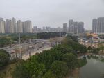 城市中的绿化与建筑景观