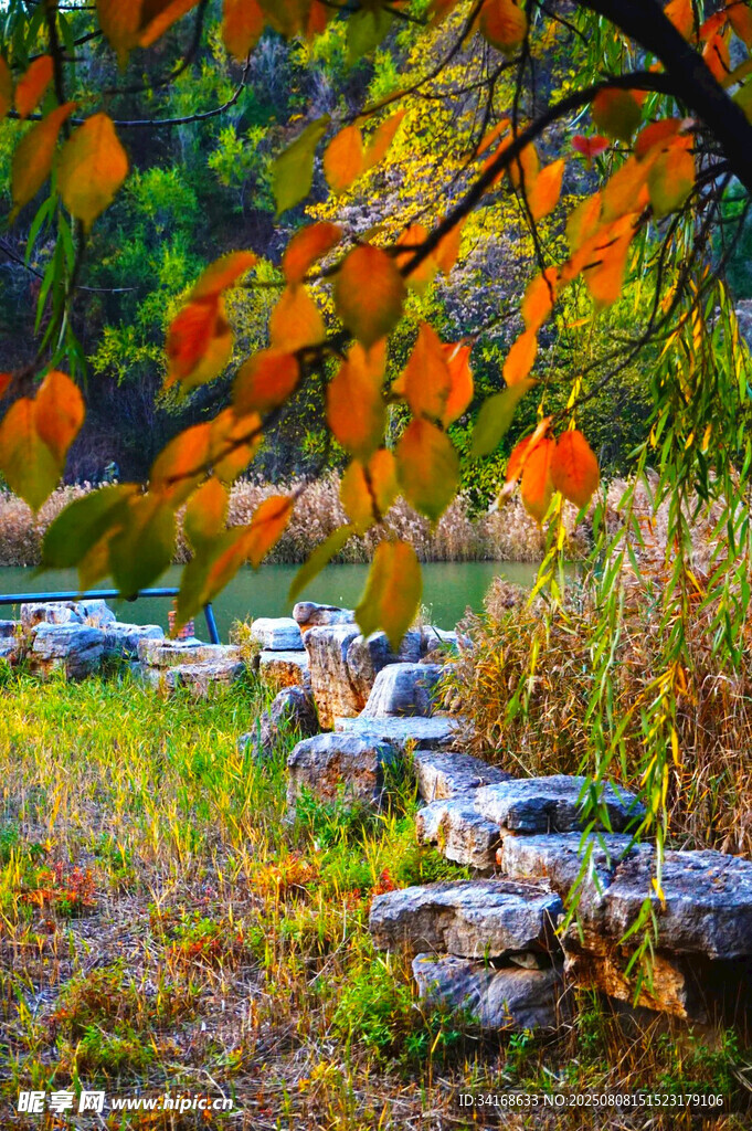 秋日溪边美景