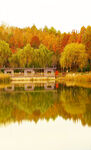 秋日湖畔绚丽倒影美景