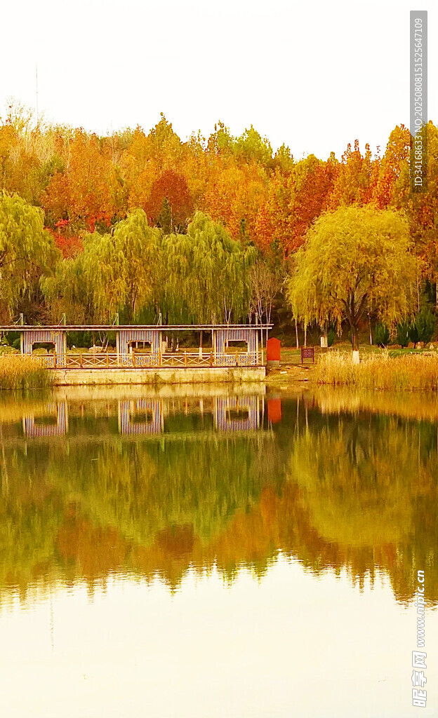 秋日湖畔绚丽倒影美景