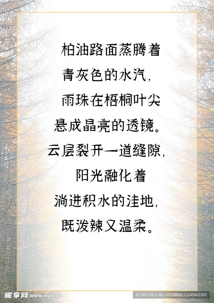 信纸 树林 小道 夕阳