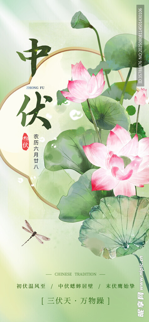 中式水墨荷花插画