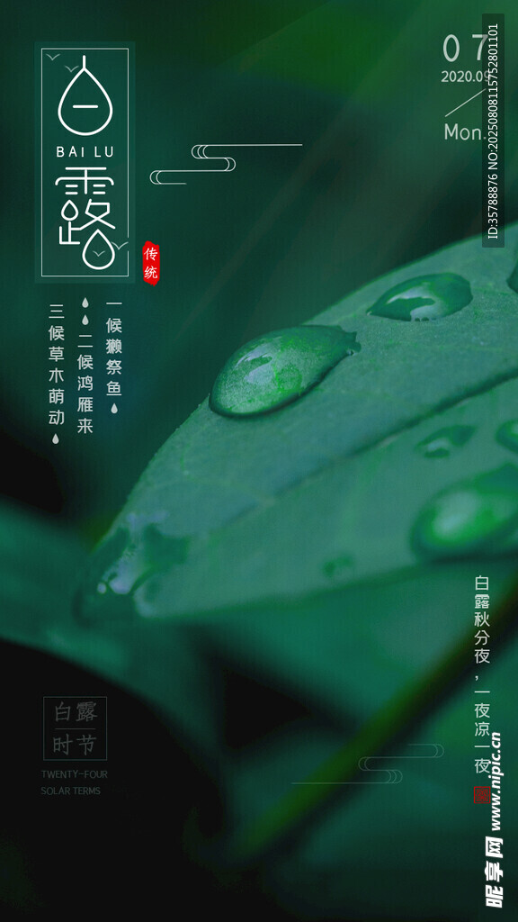清新露珠绿叶自然景象
