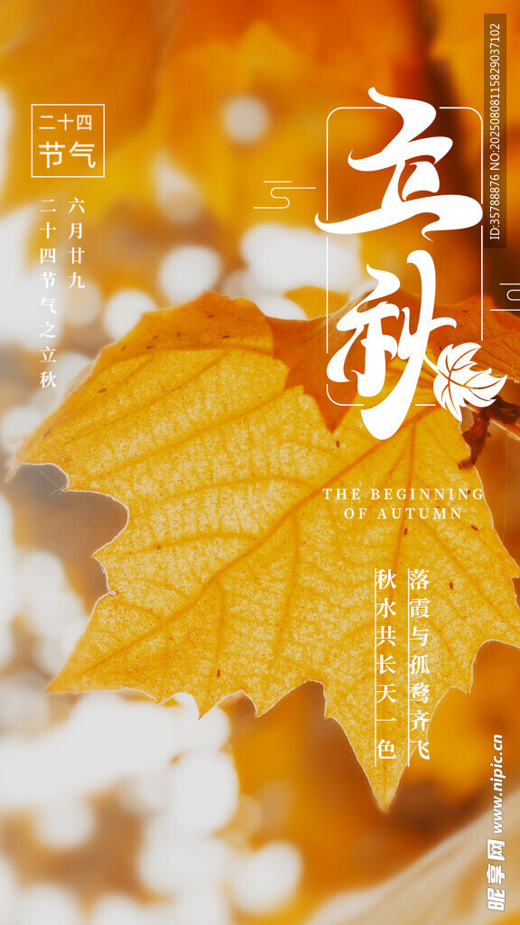 秋日枫叶上的立冬字样
