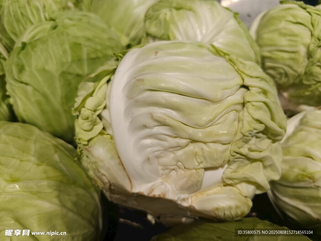 新鲜卷心菜堆叠