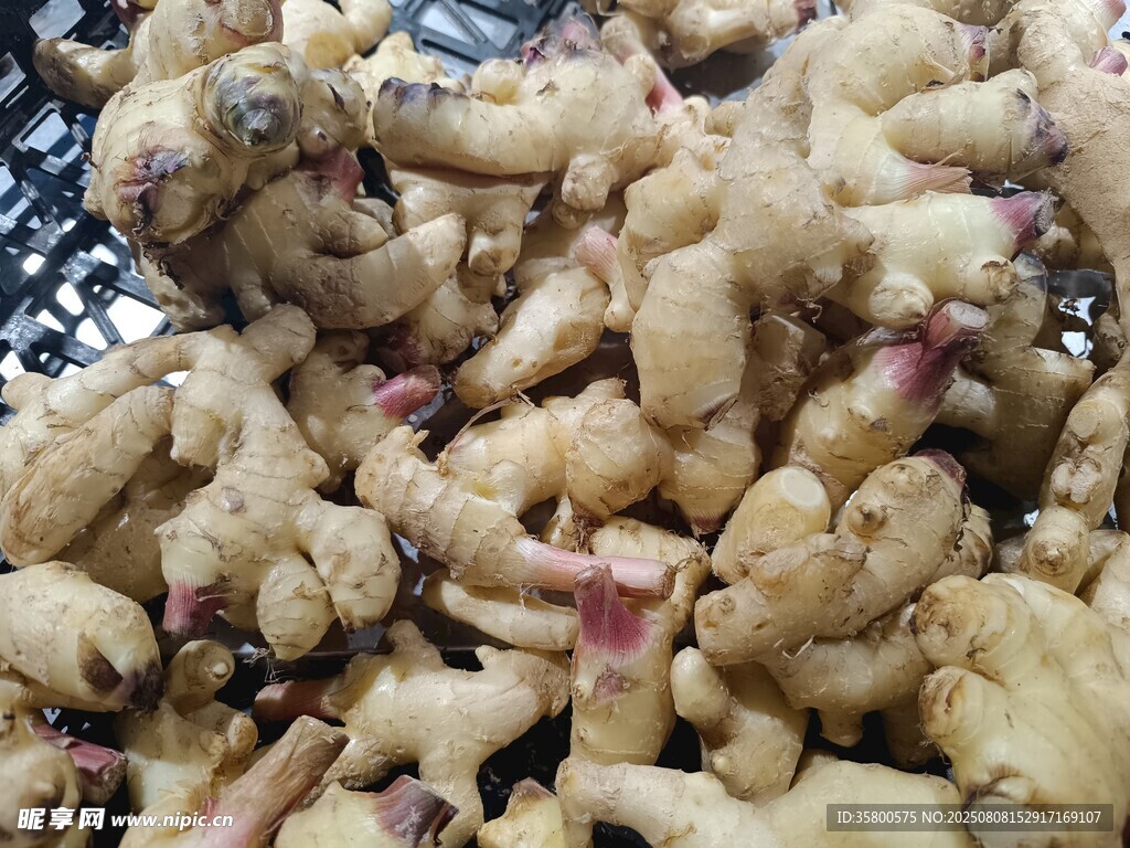 新鲜生姜特写