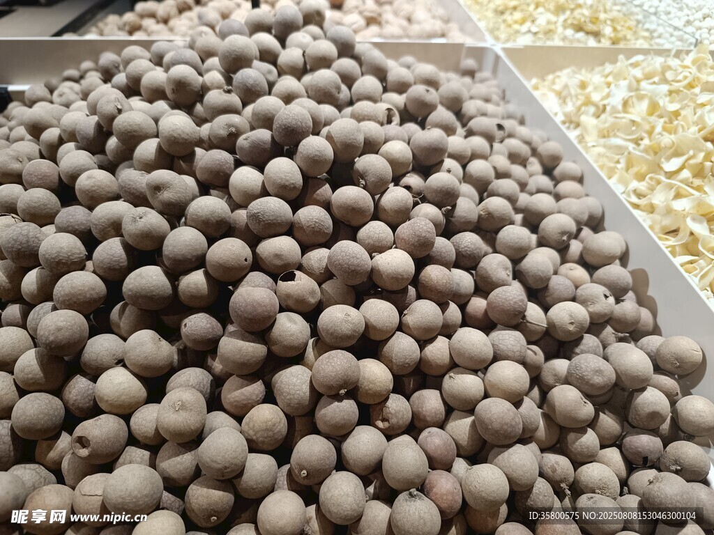 桂圆