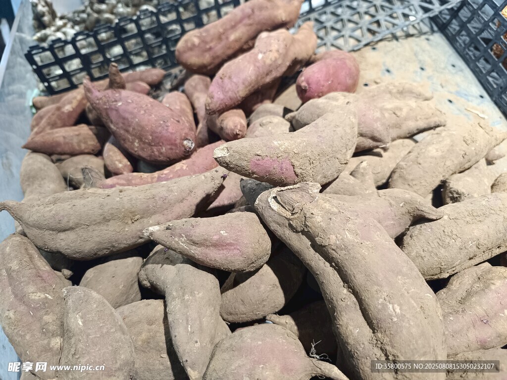 新鲜红薯堆成小山