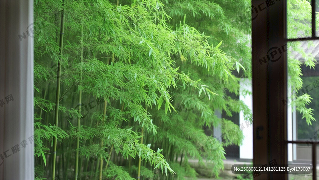 窗外竹景茂密竹林图片