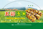 五彩玉米不干胶