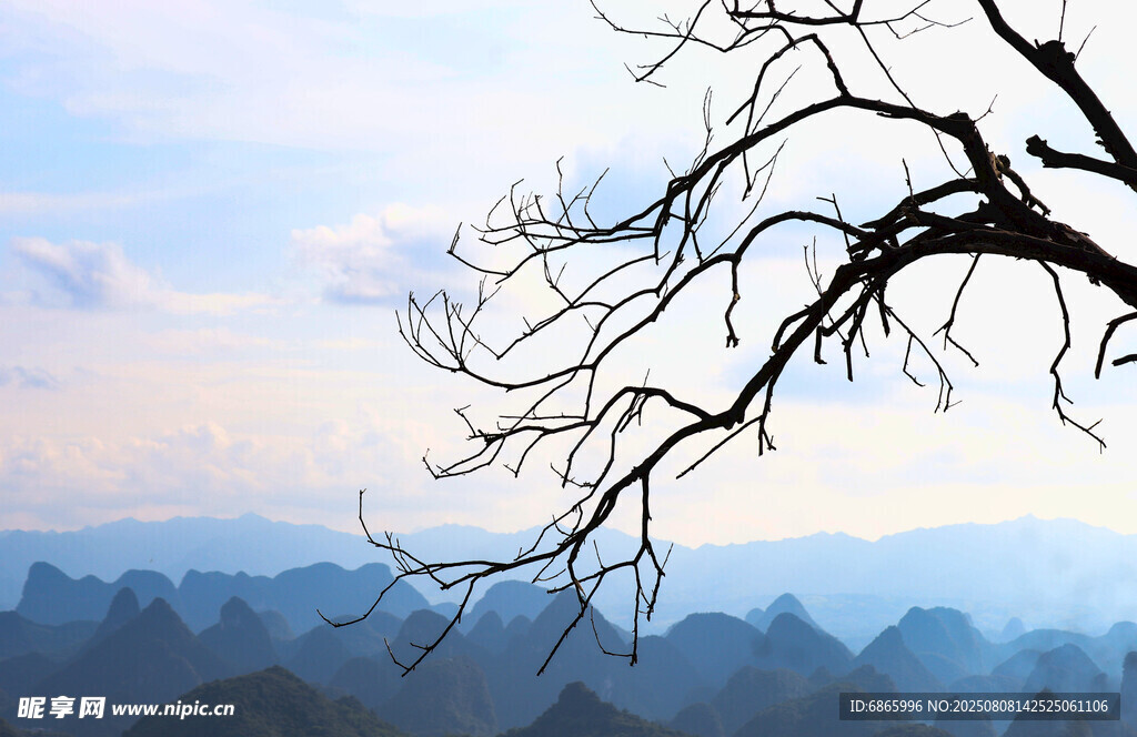 山峦间的枯树枝美景