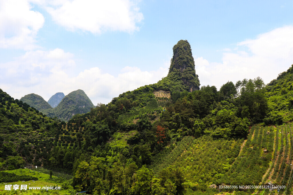 秀丽山峦间的绿意田园