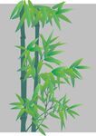 竹子  植物   矢量图