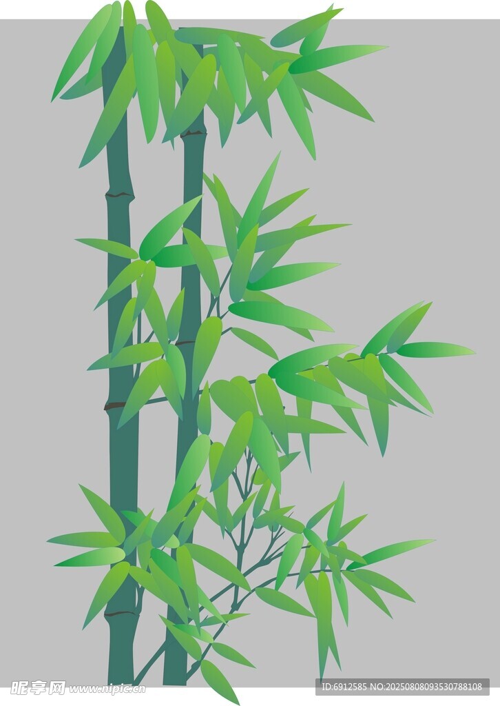 竹子  植物   矢量图