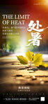 处暑时节落叶图景