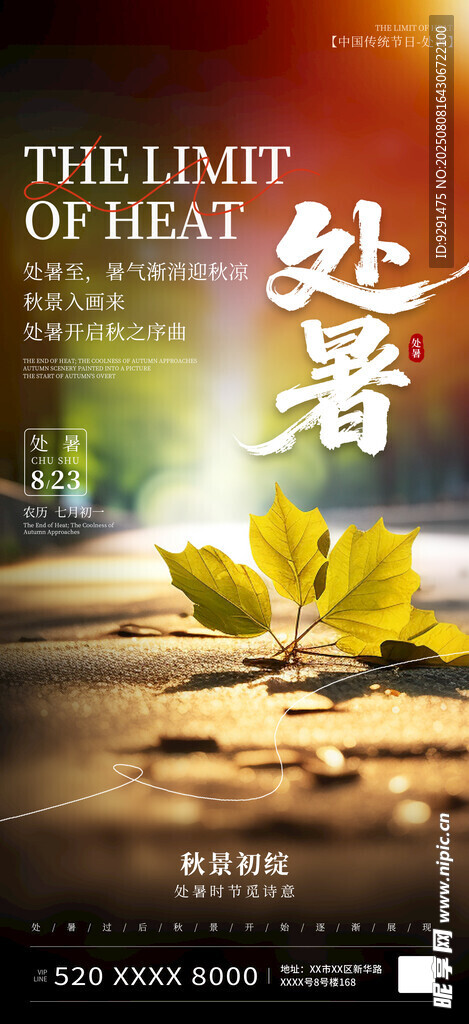 处暑时节落叶图景