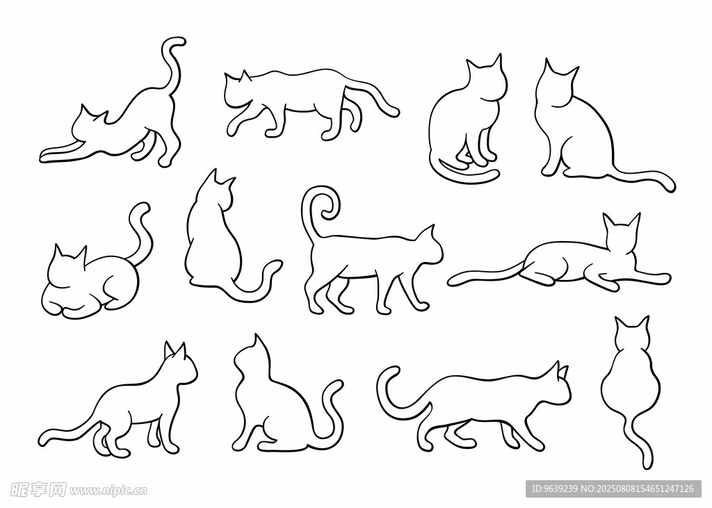 猫咪