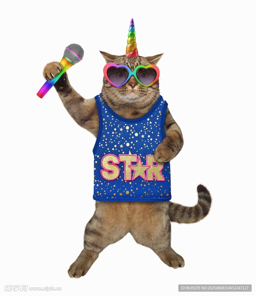 猫咪