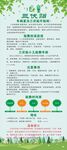 绿色环保生活方式儿童三伏贴海报