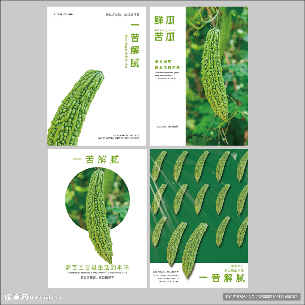 这个苦瓜不一样