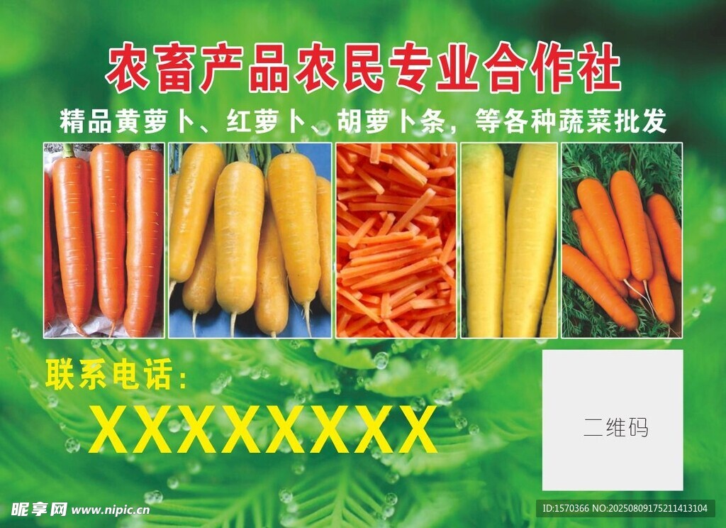胡萝卜彩页