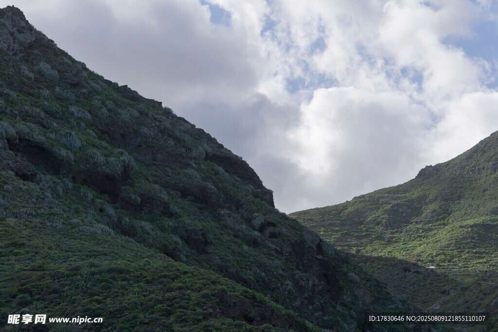 青山云雾间的自然美景