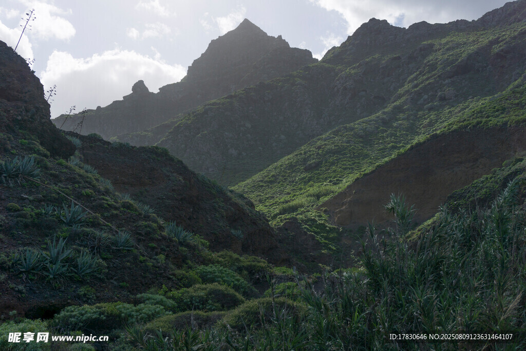 山峦叠翠间的自然美景