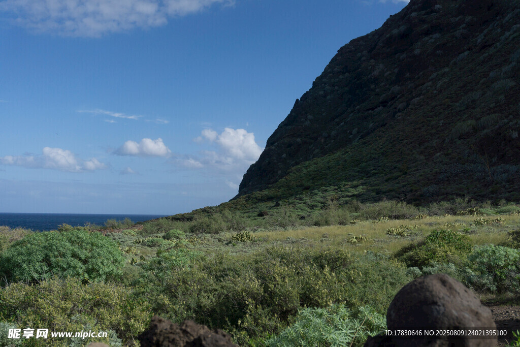 海岸边的青山绿植景观