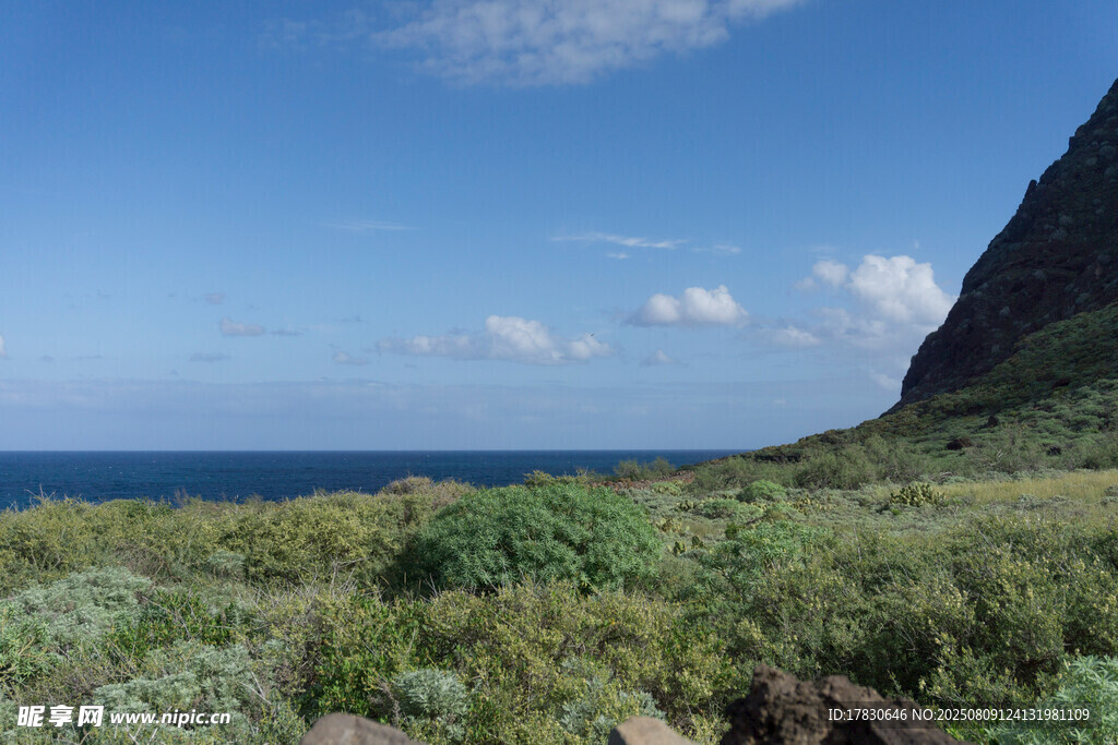 海边葱郁植被与远山美景