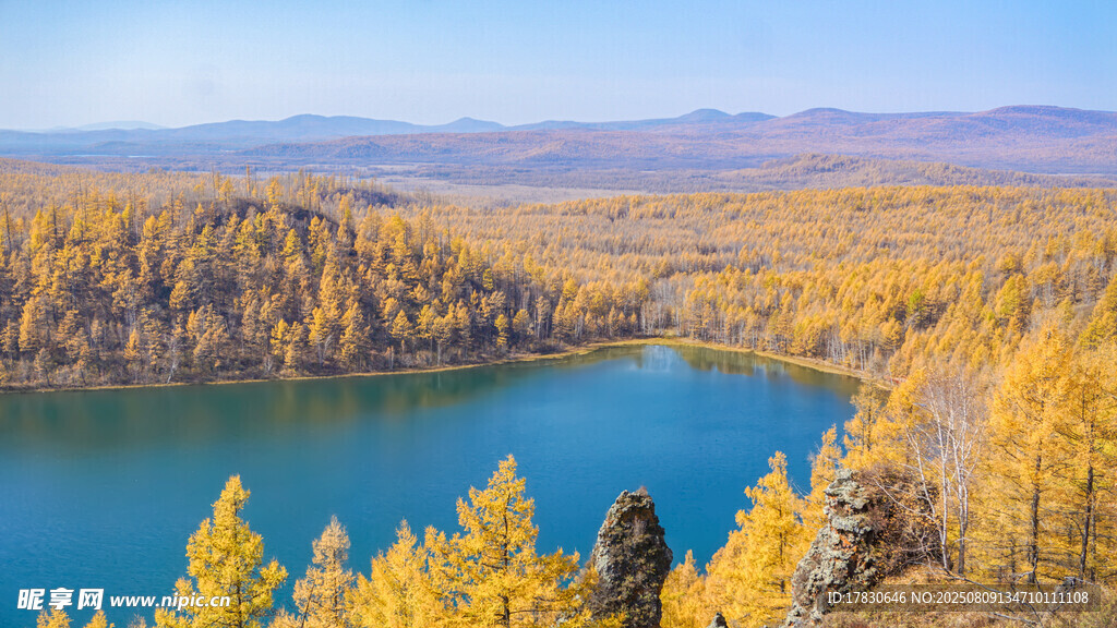 秋日湖畔金黄树林美景
