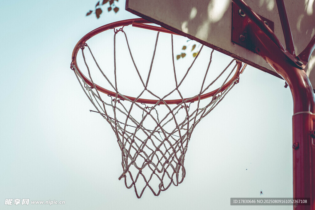 篮球框特写