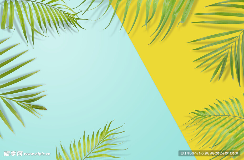 夏日清新棕榈叶背景图