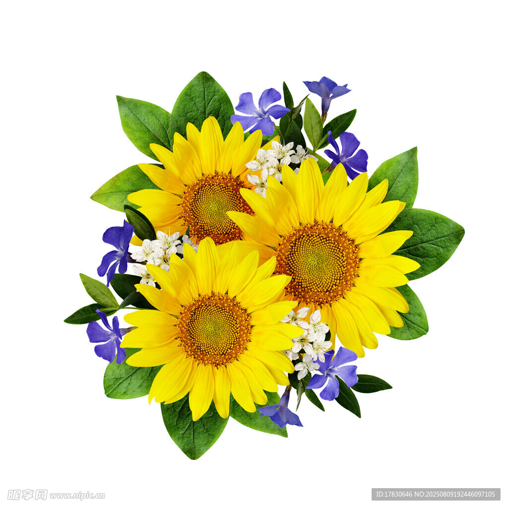 向日葵与蓝花绿叶花束