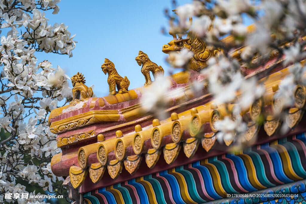 古建屋脊瑞兽与烂漫春花
