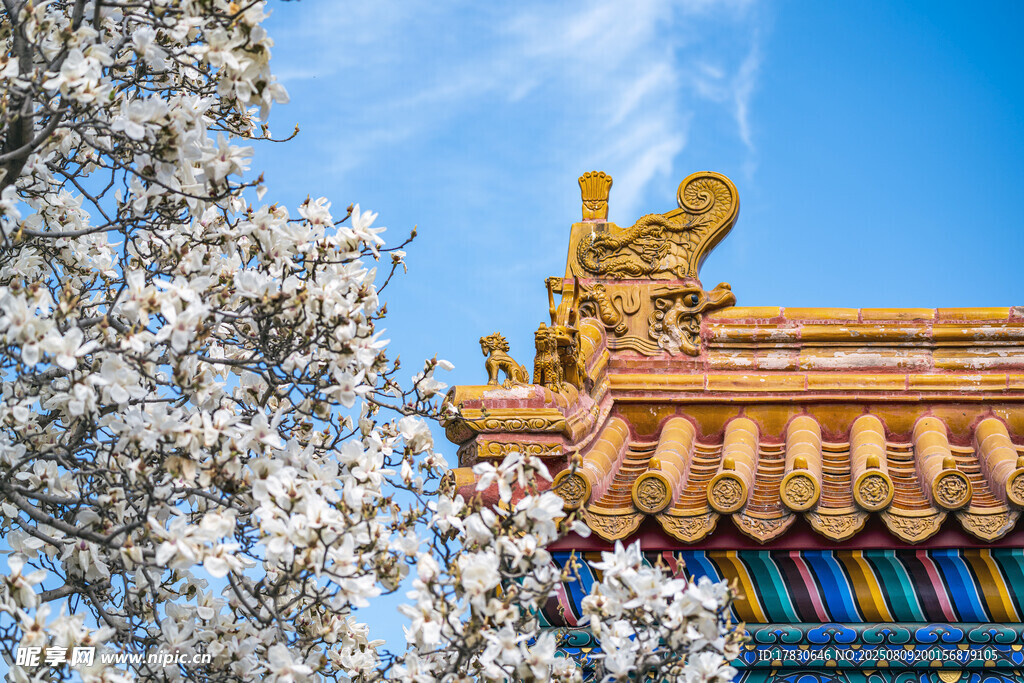 故宫雪景中的精美建筑一角