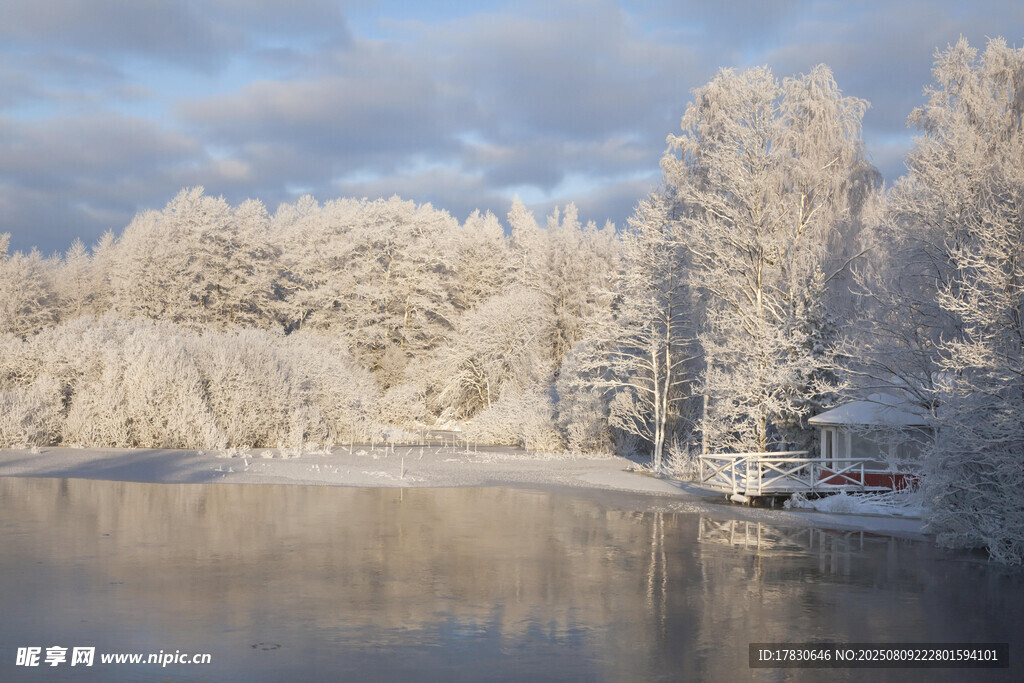 冬日雪覆树林湖畔美景