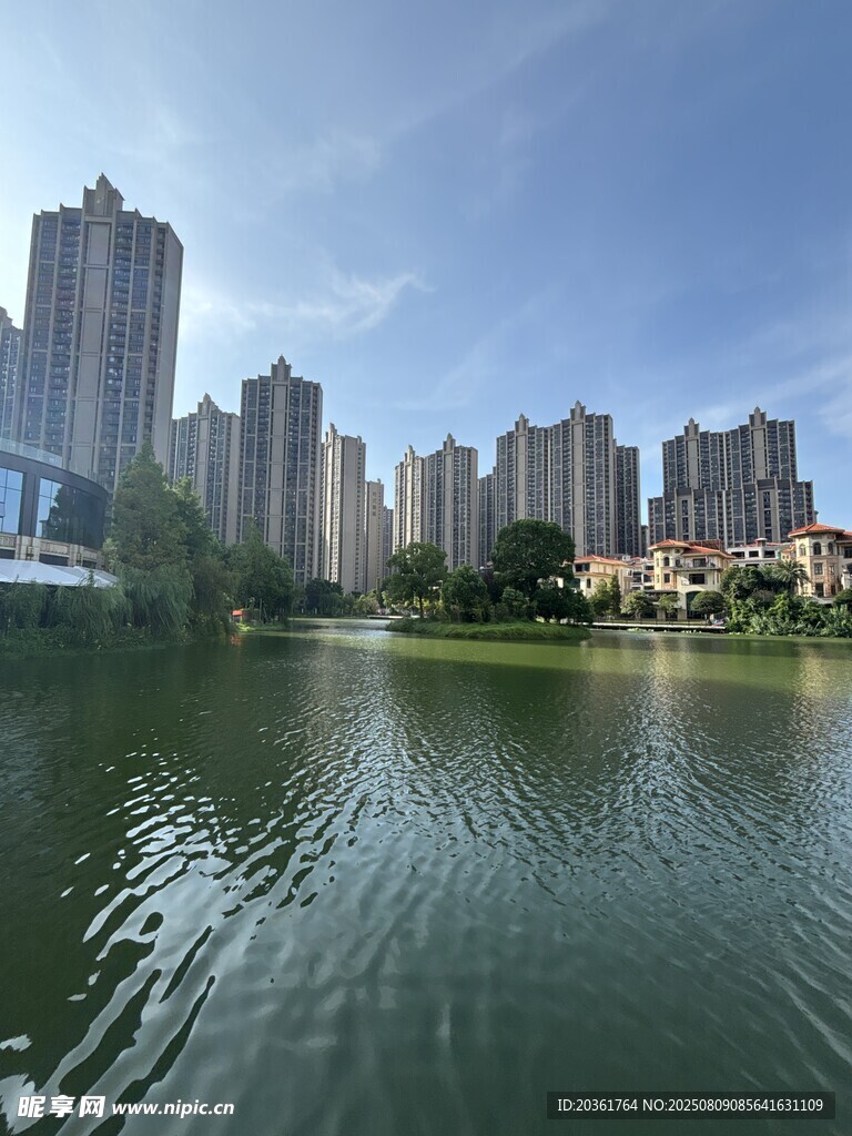 湖畔高楼林立的城市景致