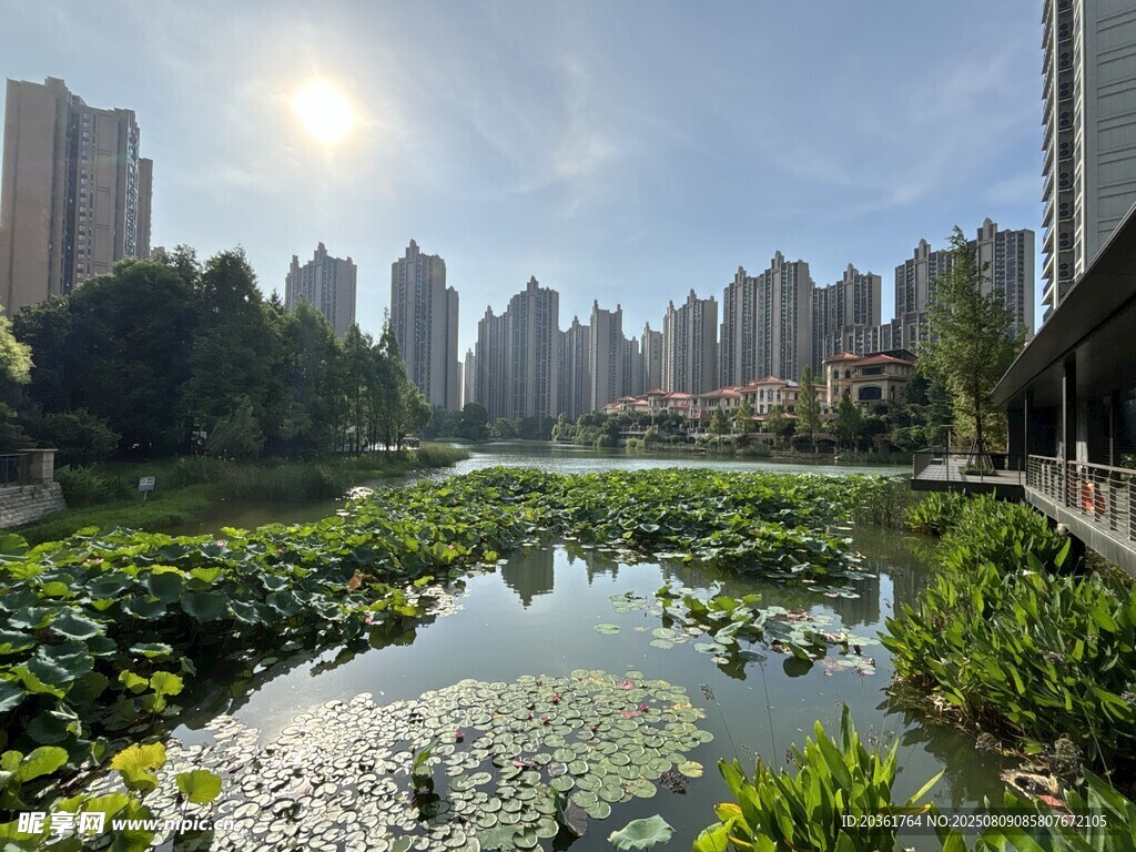 城市湖畔风光