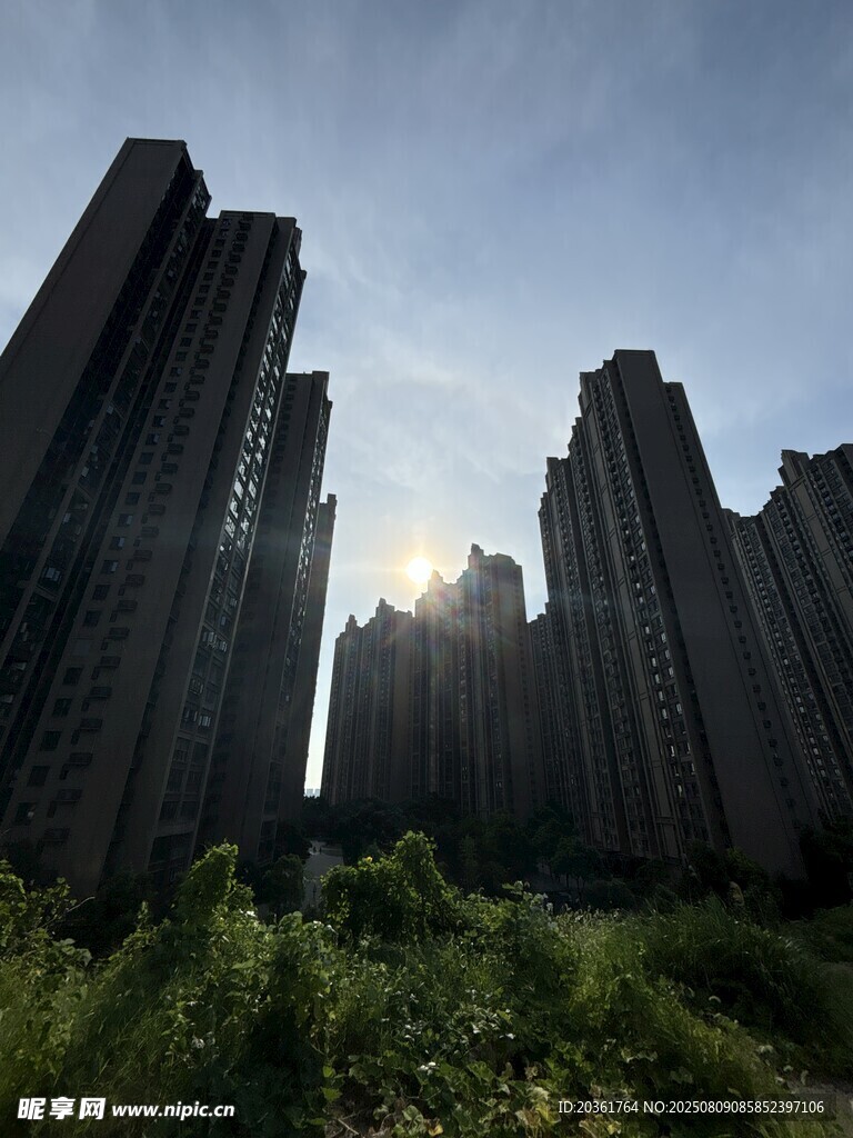 高楼林立间的绿意景致