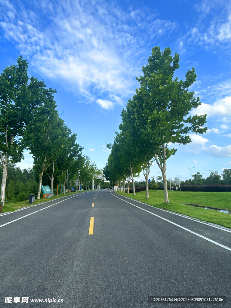 宽阔公路旁绿树蓝天白云