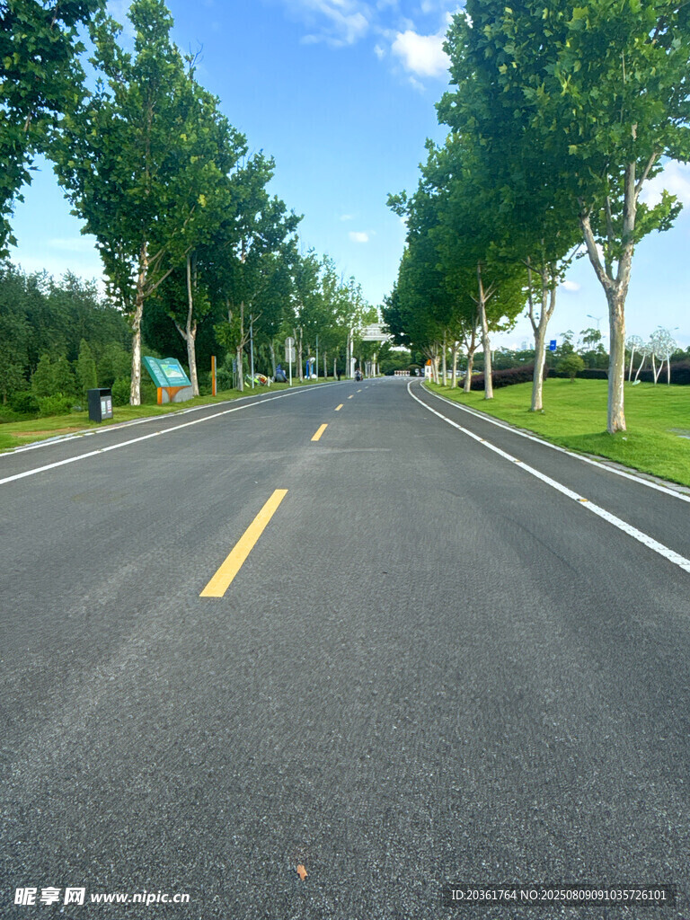 宽阔林荫公路风景