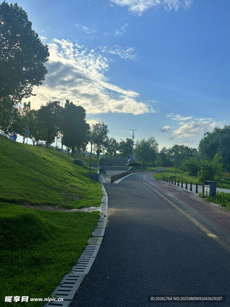 郊外林荫路