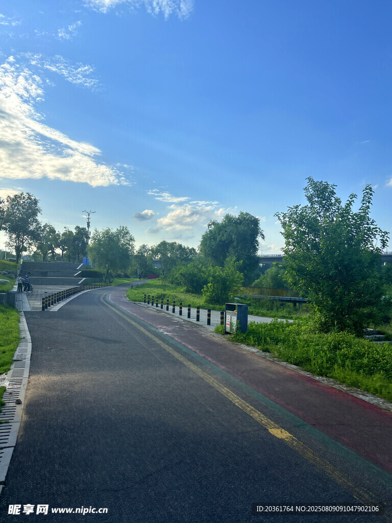乡村公路旁的清新风景