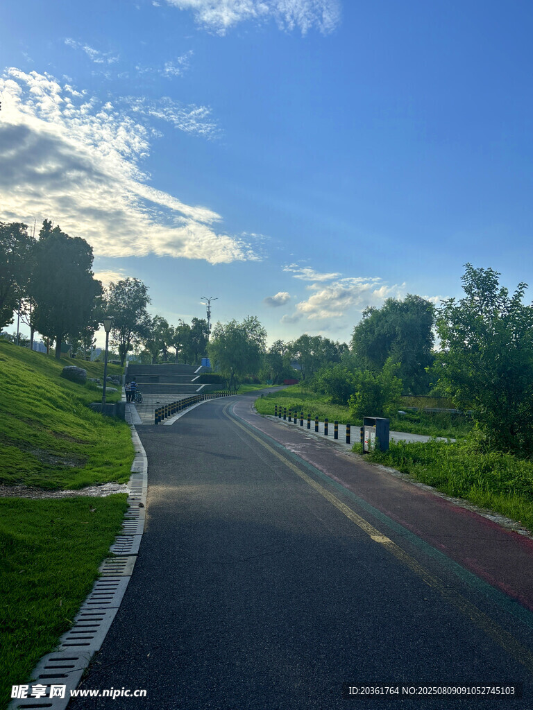 郊外林荫路