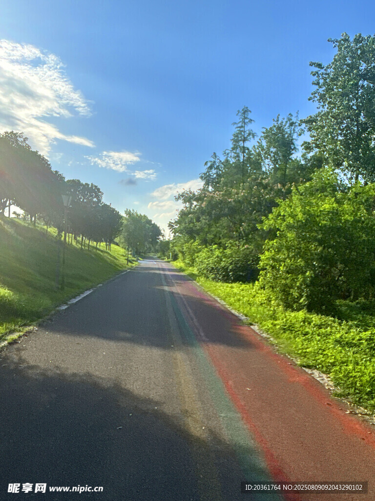 林间骑行道