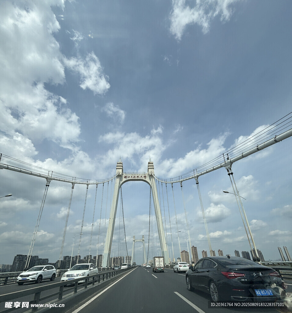 公路大桥上的行驶车辆