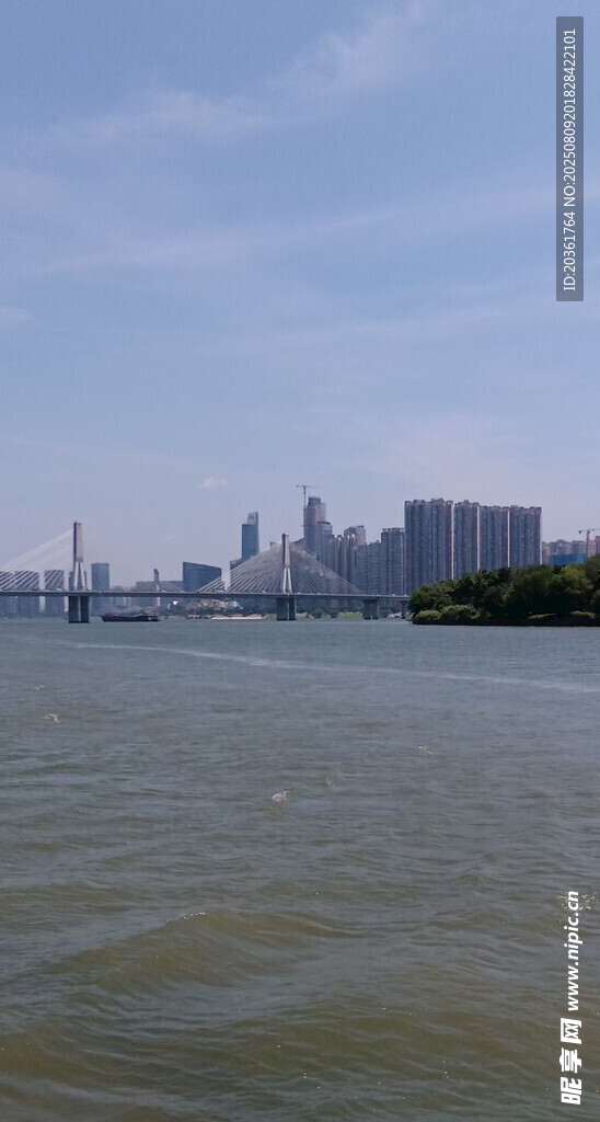 江边城市风光