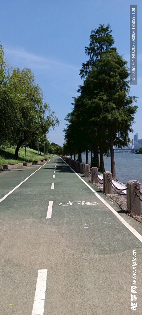 湖边林荫下的空旷道路
