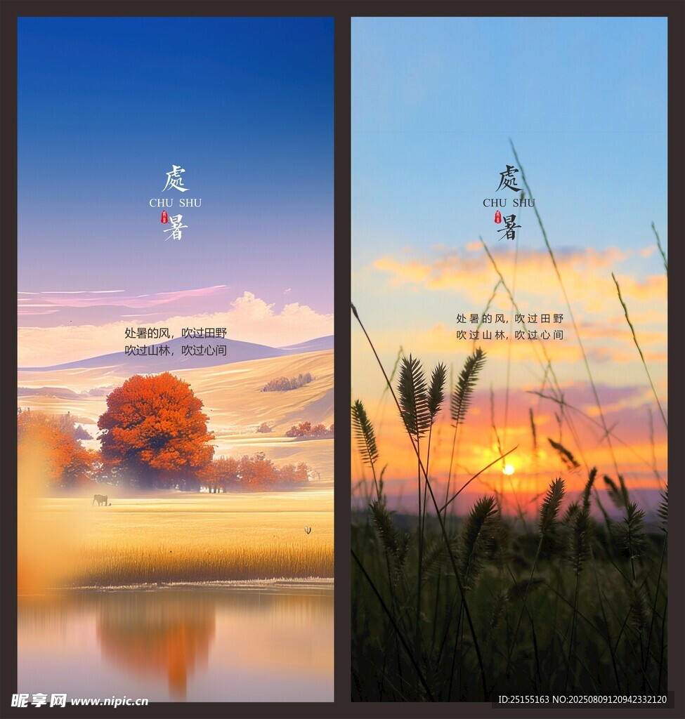 处暑 单P