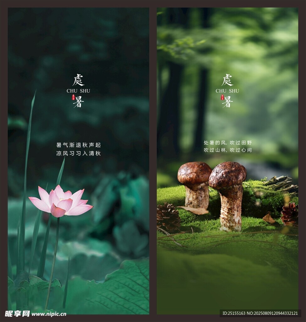 处暑微信